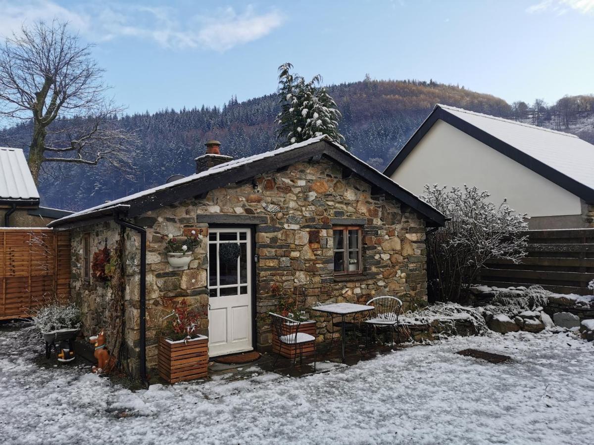 Dolweunydd Bed And Breakfast Betws-y-Coed Exterior foto