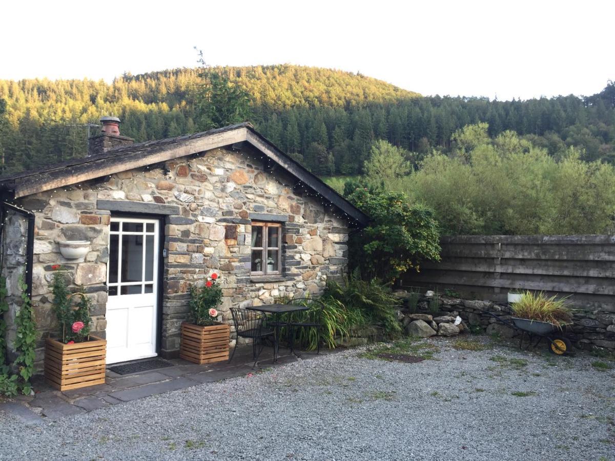 Dolweunydd Bed And Breakfast Betws-y-Coed Exterior foto